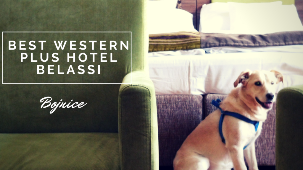 Ubytovanie so psíkom: Best Western Plus hotel Belassi