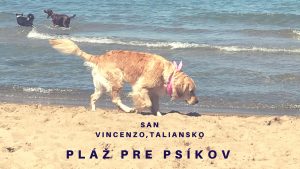 plaze pre psov taliansko