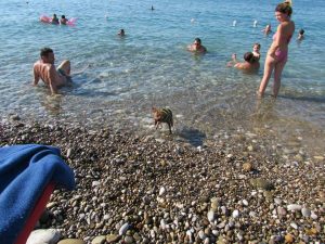 pláže pre psov taliansko