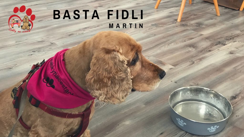 Nová dog friendly kaviareň Basta Fidli ťa príjemne prekvapí