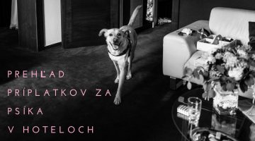 Príplatok za psa v hoteli – prehľad nielen podľa mojich skúseností