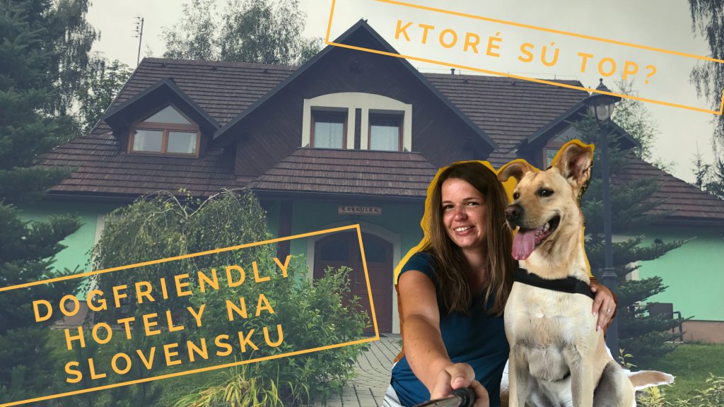 Dogfriendly hotely na Slovensku: tieto 3 sú top