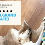 Hotel Grand Matej privíta každého psíčkara