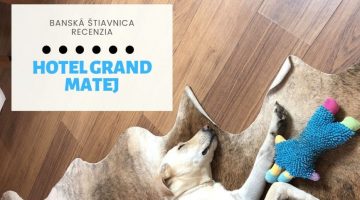 Hotel Grand Matej privíta každého psíčkara
