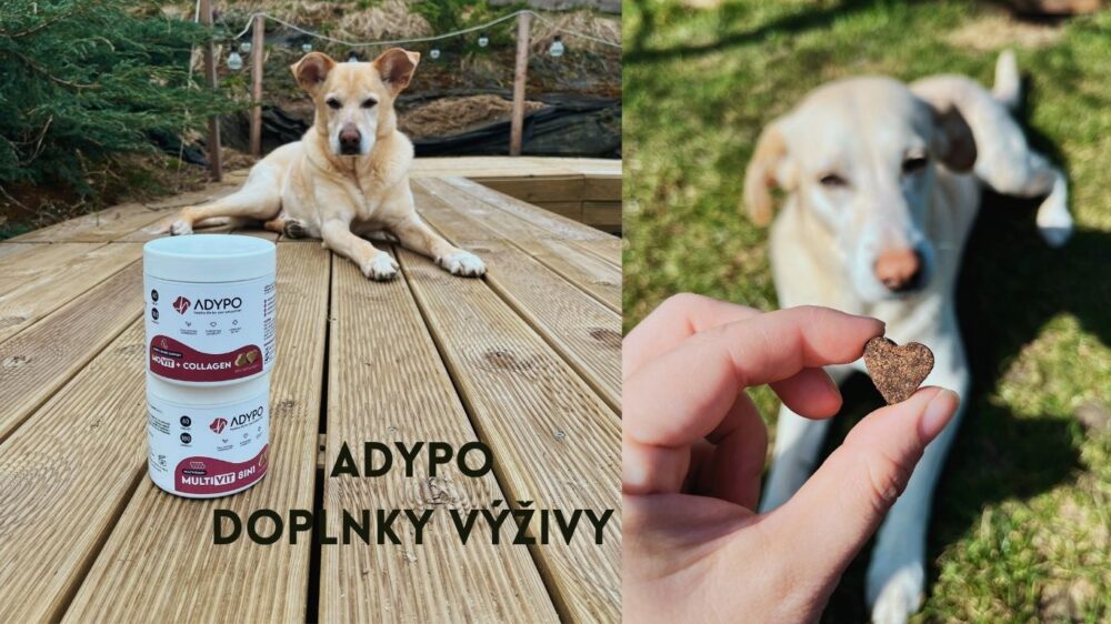 adypo-doplnky-vyzivy