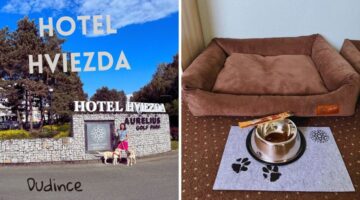 hotel-hviezda